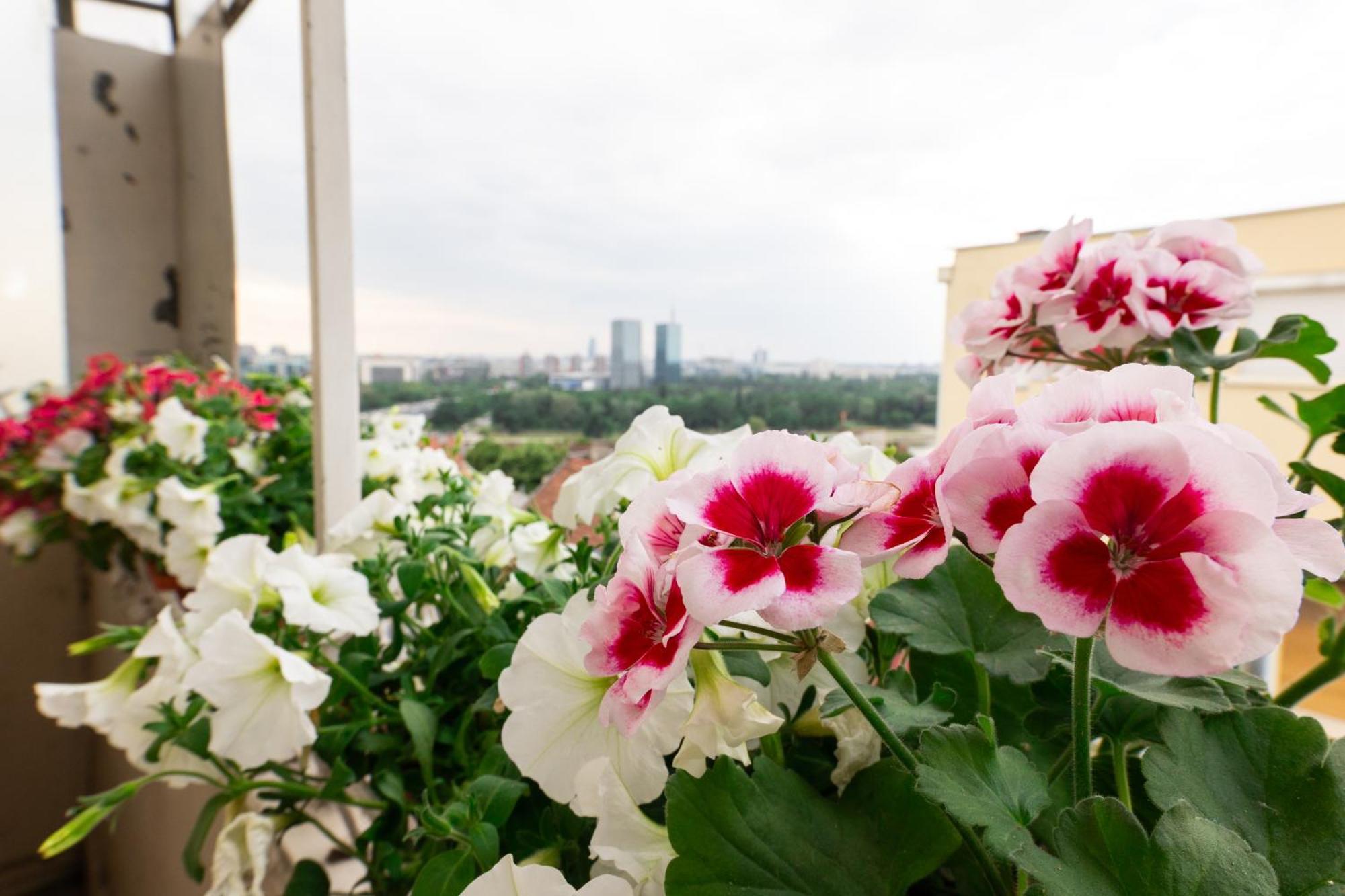 Ugi House - City Center Belgrado Esterno foto